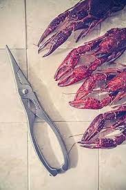 [606400] Pince crustacés luxe 18,5cm